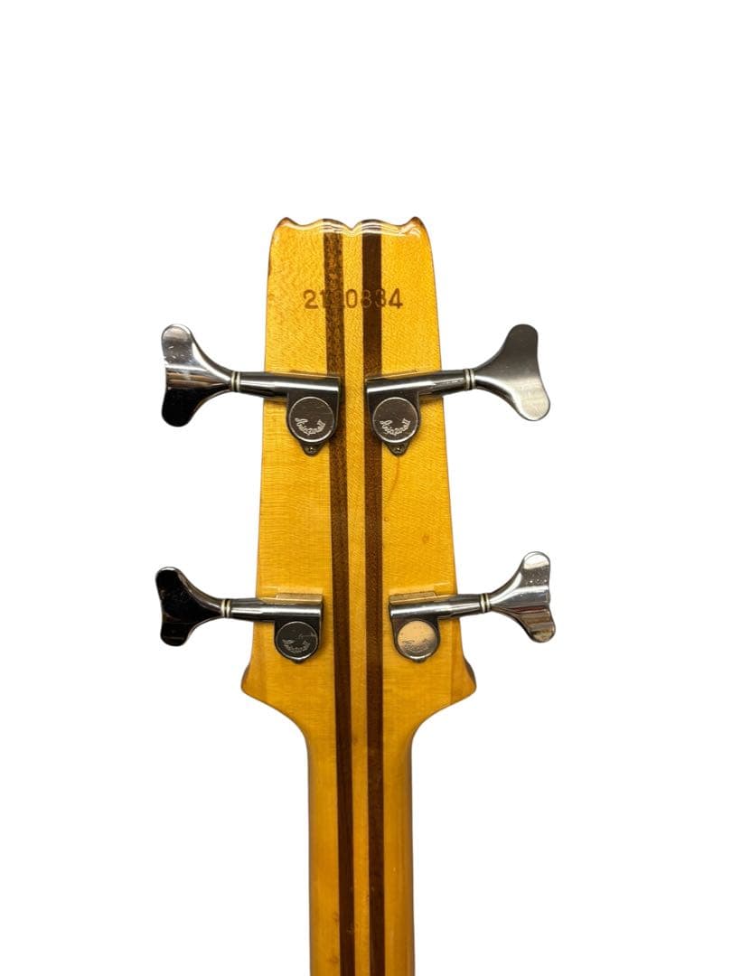 Aria Pro II SB-R60 エレキベース ソフトケース付き