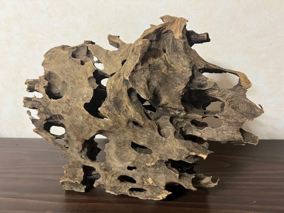 XM-368 ブランチウッド　流木　マシンガンウッド　アクアリウム　沈水確認済