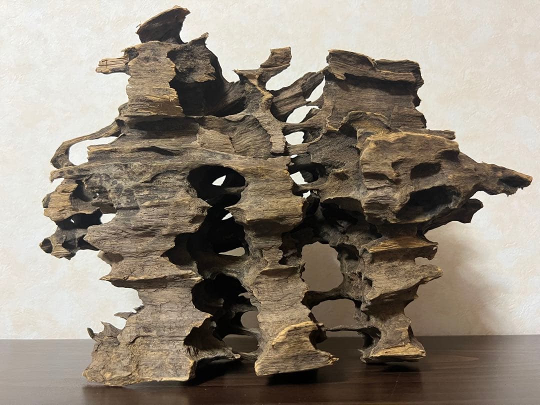 XM-368 ブランチウッド　流木　マシンガンウッド　アクアリウム　沈水確認済