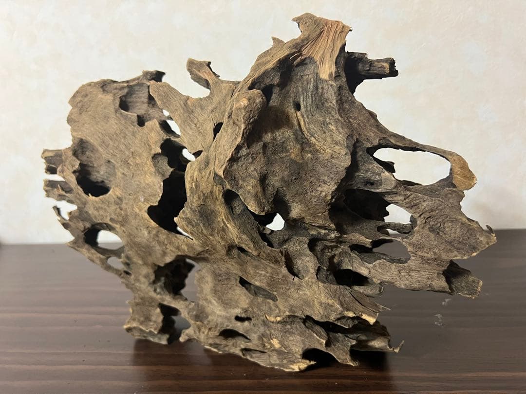 XM-368 ブランチウッド　流木　マシンガンウッド　アクアリウム　沈水確認済