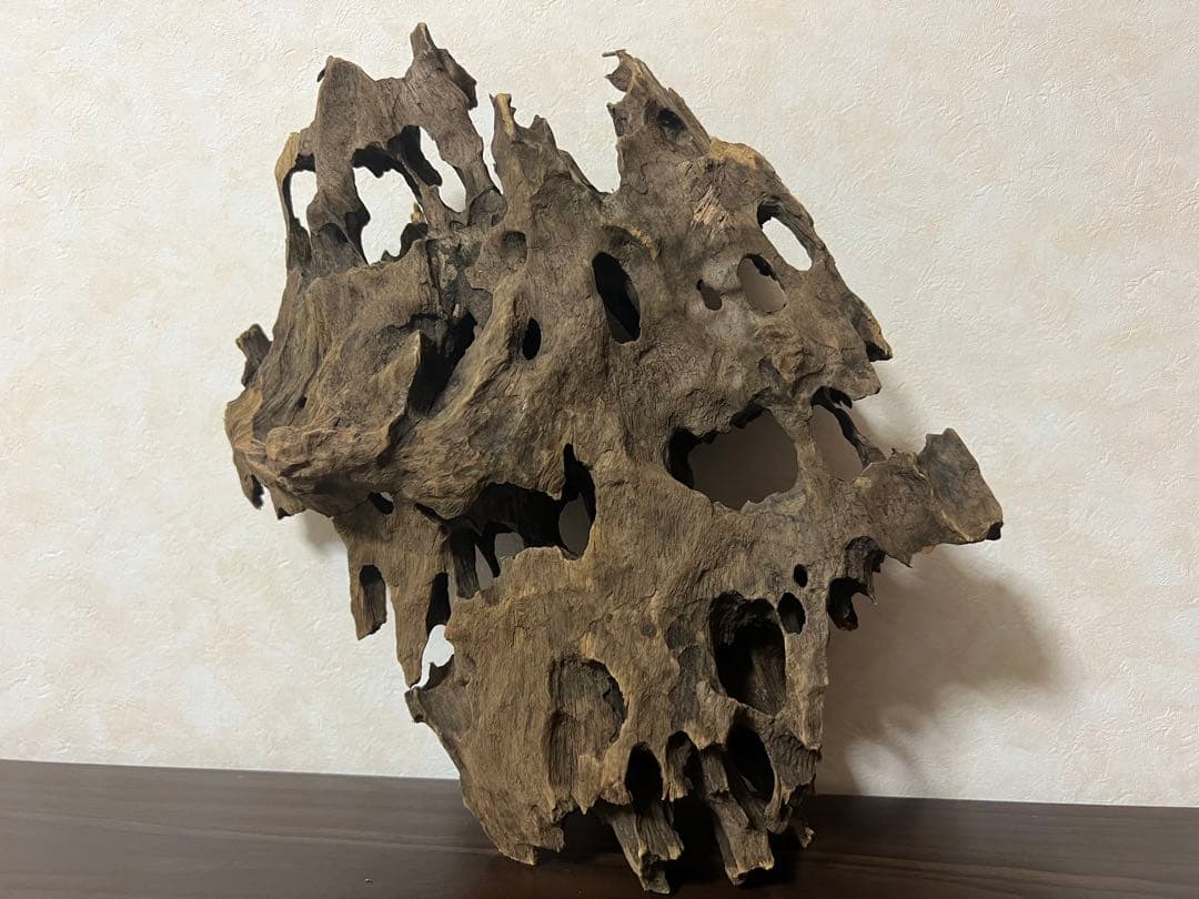 XM-368 ブランチウッド　流木　マシンガンウッド　アクアリウム　沈水確認済