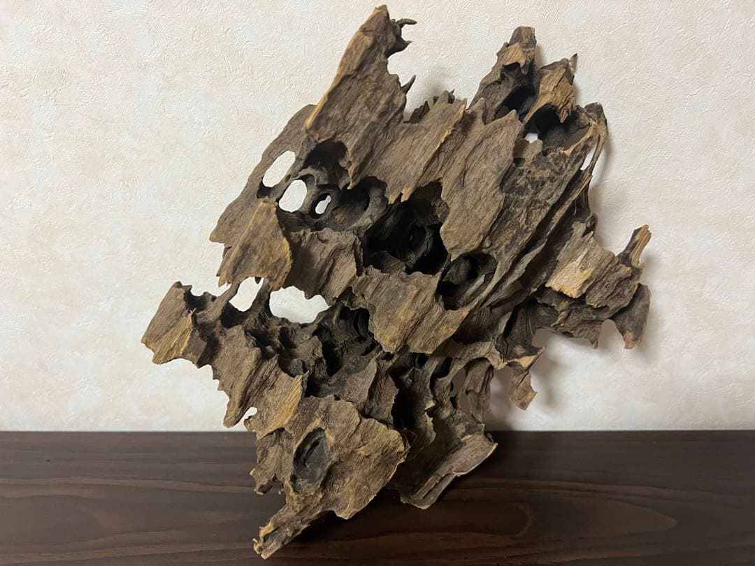 XM-368 ブランチウッド　流木　マシンガンウッド　アクアリウム　沈水確認済