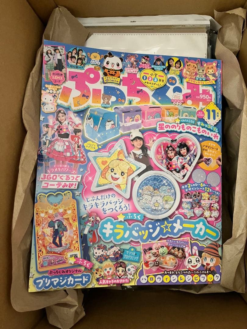 プリマジ プリマジファイル ぷっちぐみ プリマジカード大量セット