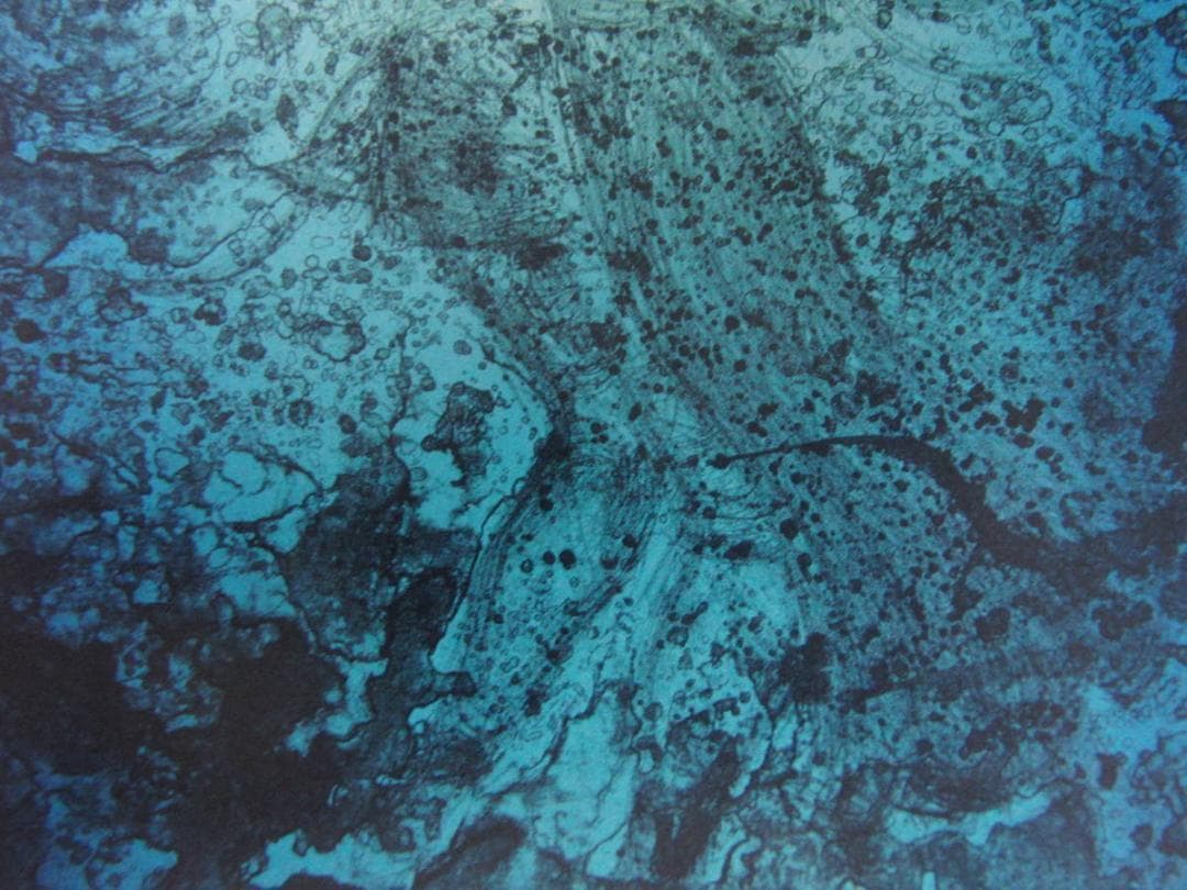 天野喜孝、【水夢】、希少な額装用画集より、新品額装付、状態良好