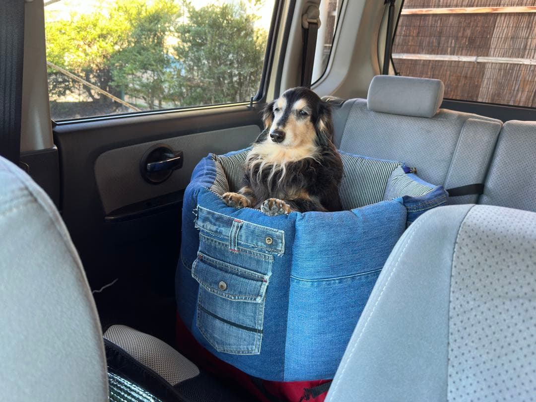 ドライブベッド　高さ約30cm