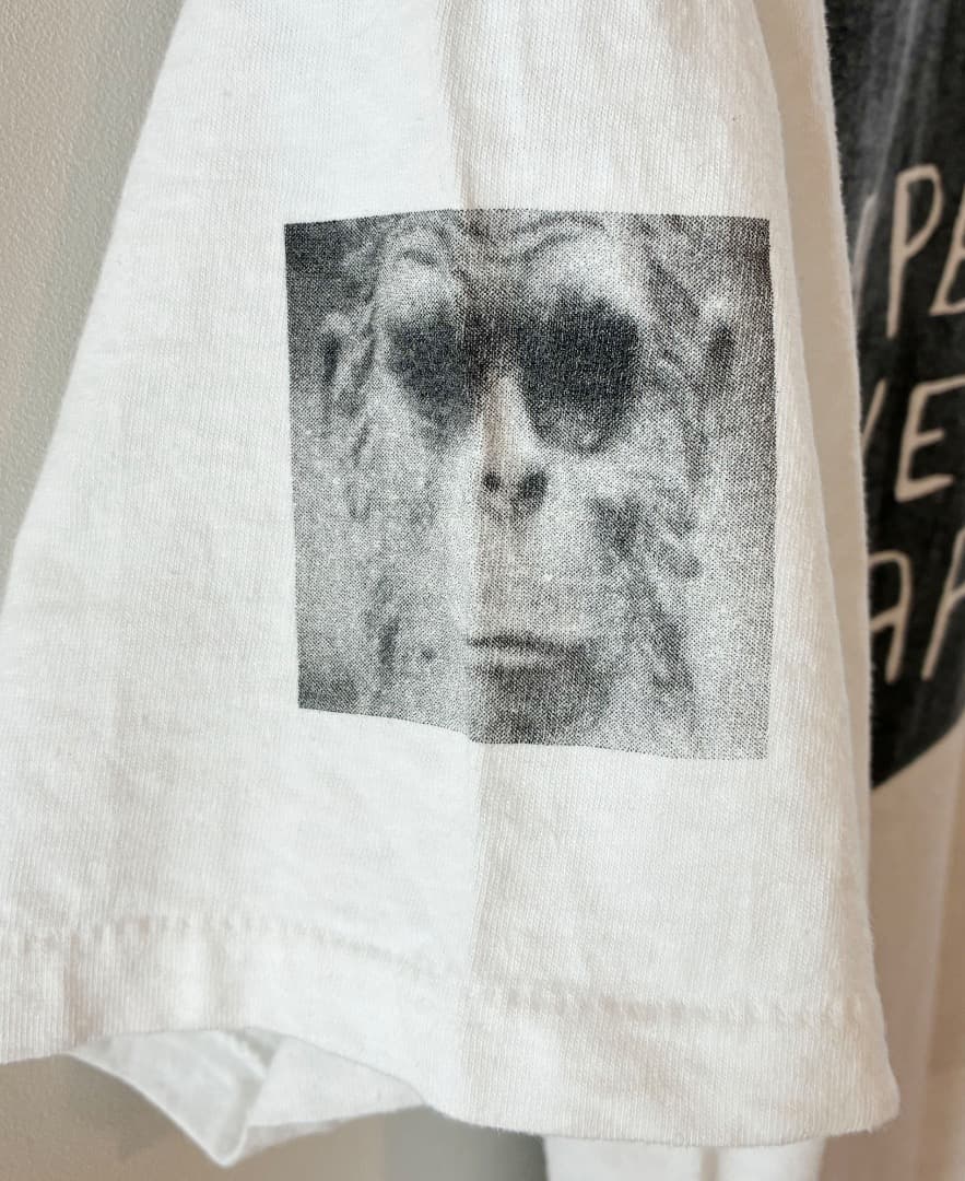 A BATHING APE 90s 初期 APE'S LOW Tシャツ