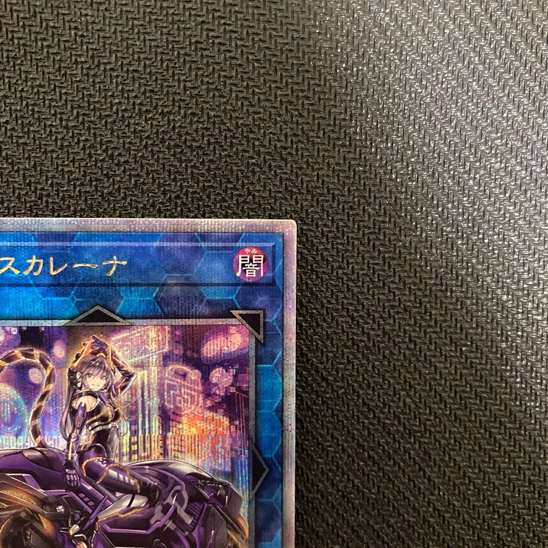 遊戯王 マスカレーナ 絵違い 25th シークレット