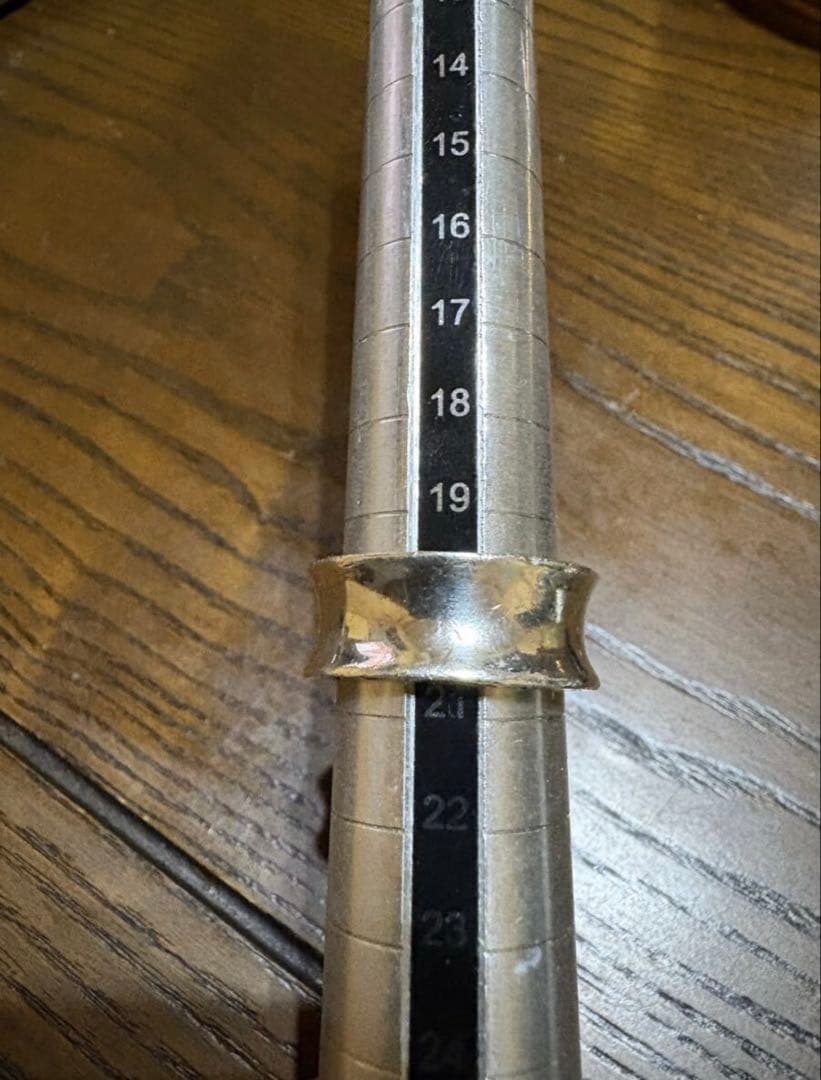 お正月セール！アリゾナフリーダム　約リング20R-20b Silver925