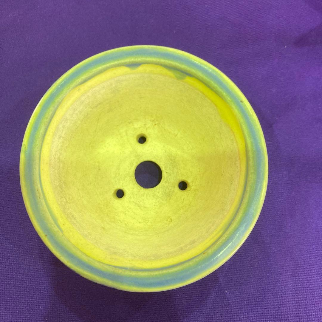 正成のミニ盆栽鉢