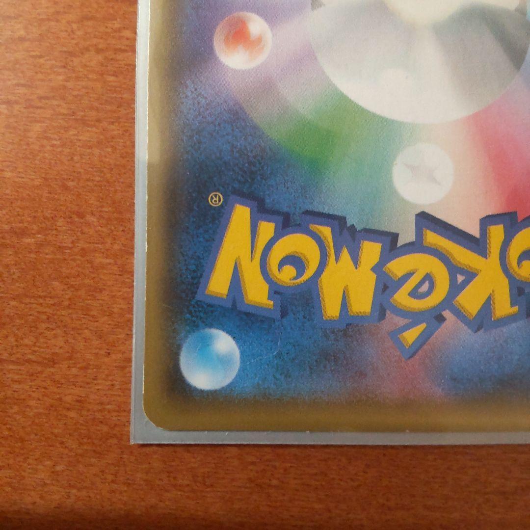 ポンチョを着たイーブイ（ブラッキー）