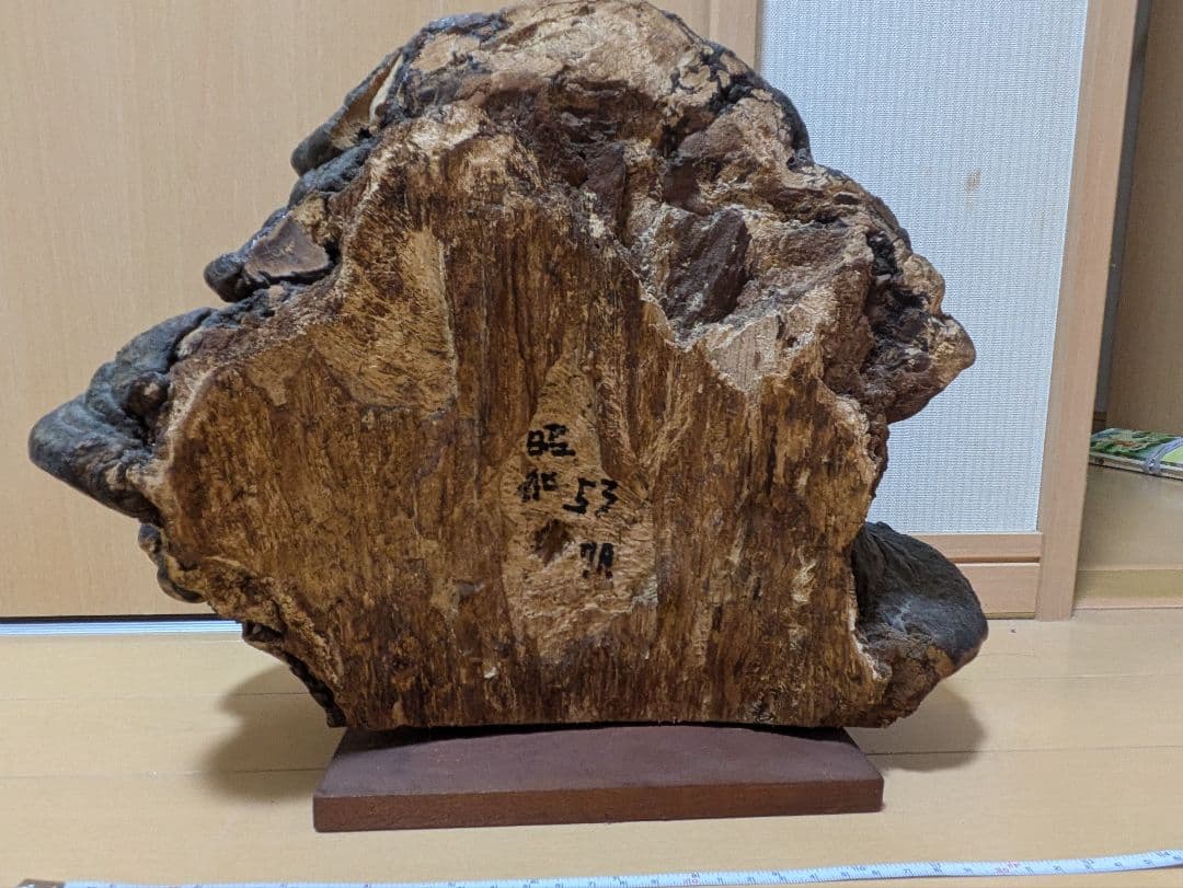 巨大)霊芝　灵芝　サルノコシカケ　固定台座付き　骨董品　開運　縁起物