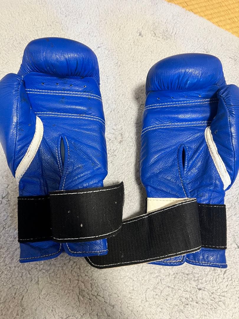 Winning ウイニング　ボクシング　グローブ　10oz