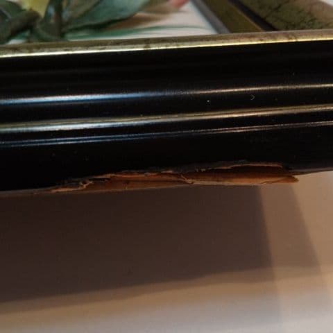 コレクション CAPODIMONTE