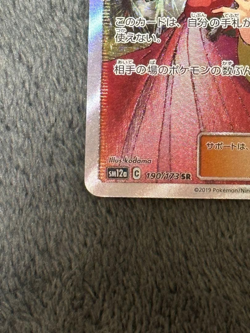 エリカのおもてなし SR 傘