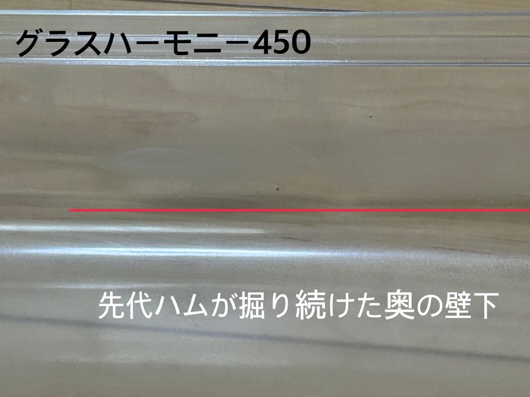 グラスハーモニー セット販売