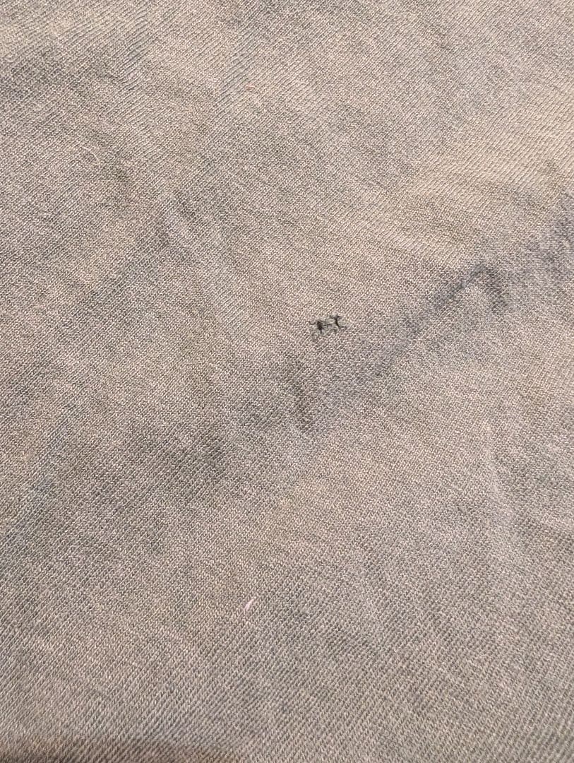 バンドTee WEEZER　90's サイズxl