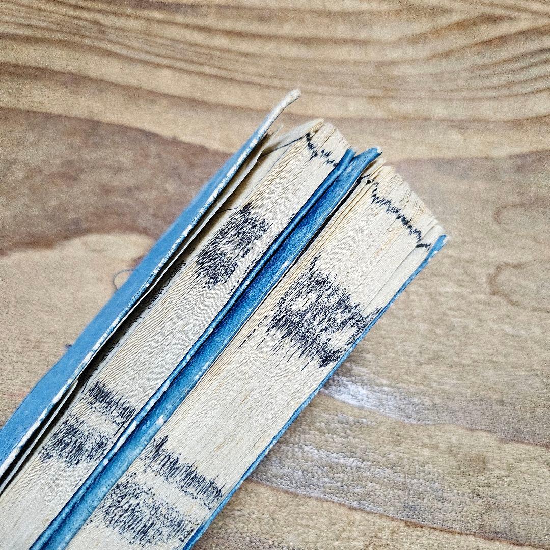 to9631 古い和本 朝廷公家名鑑『 雲上明覧大全 』二冊揃 江戸古書 古文書