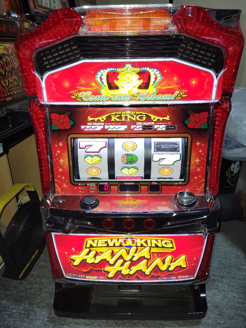 5号機 パチスロ実機 ニューキングハナハナ30