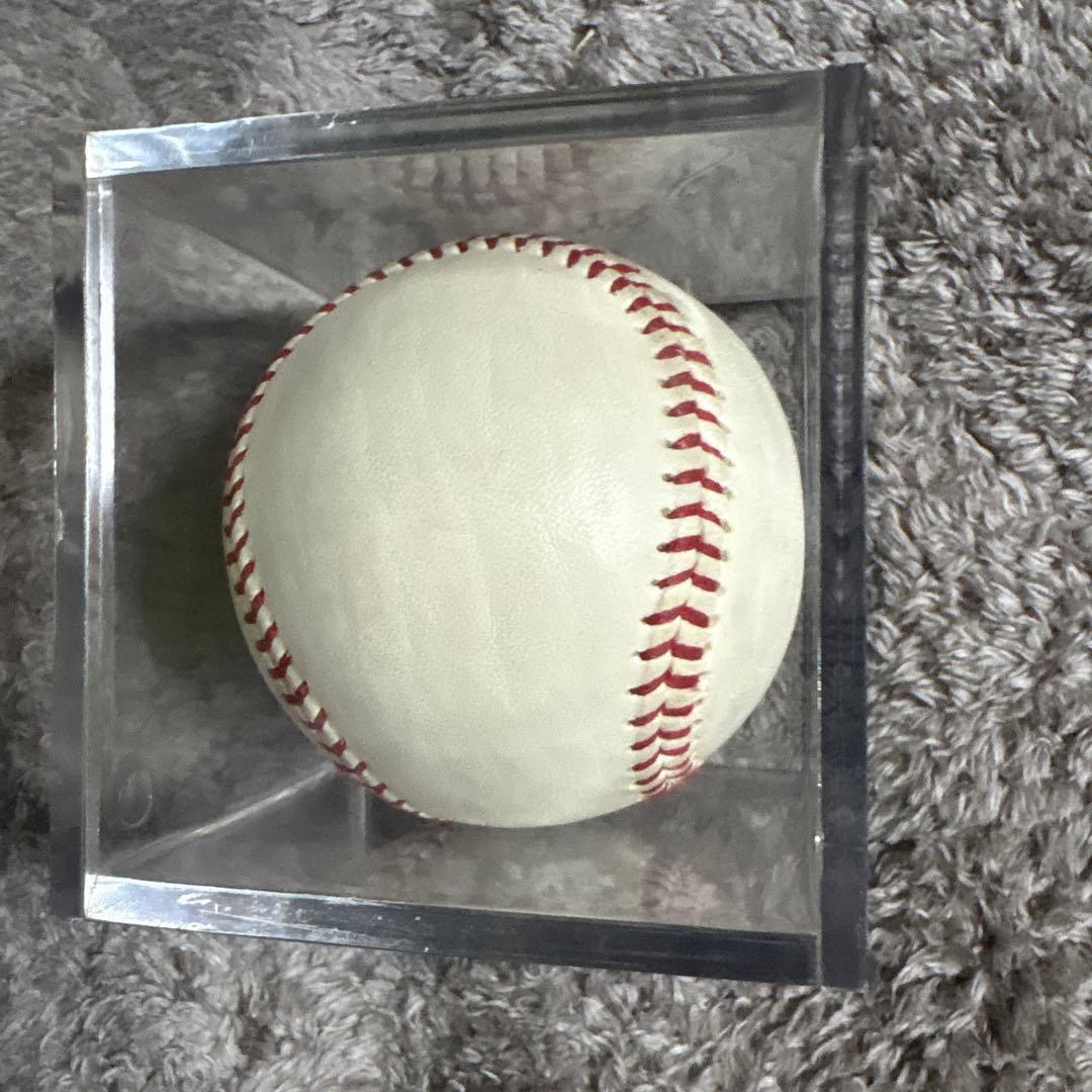 長*ー様 読売ジャイアンツ長嶋茂雄王貞治寄せ書き直筆サインボール　ボールケース付