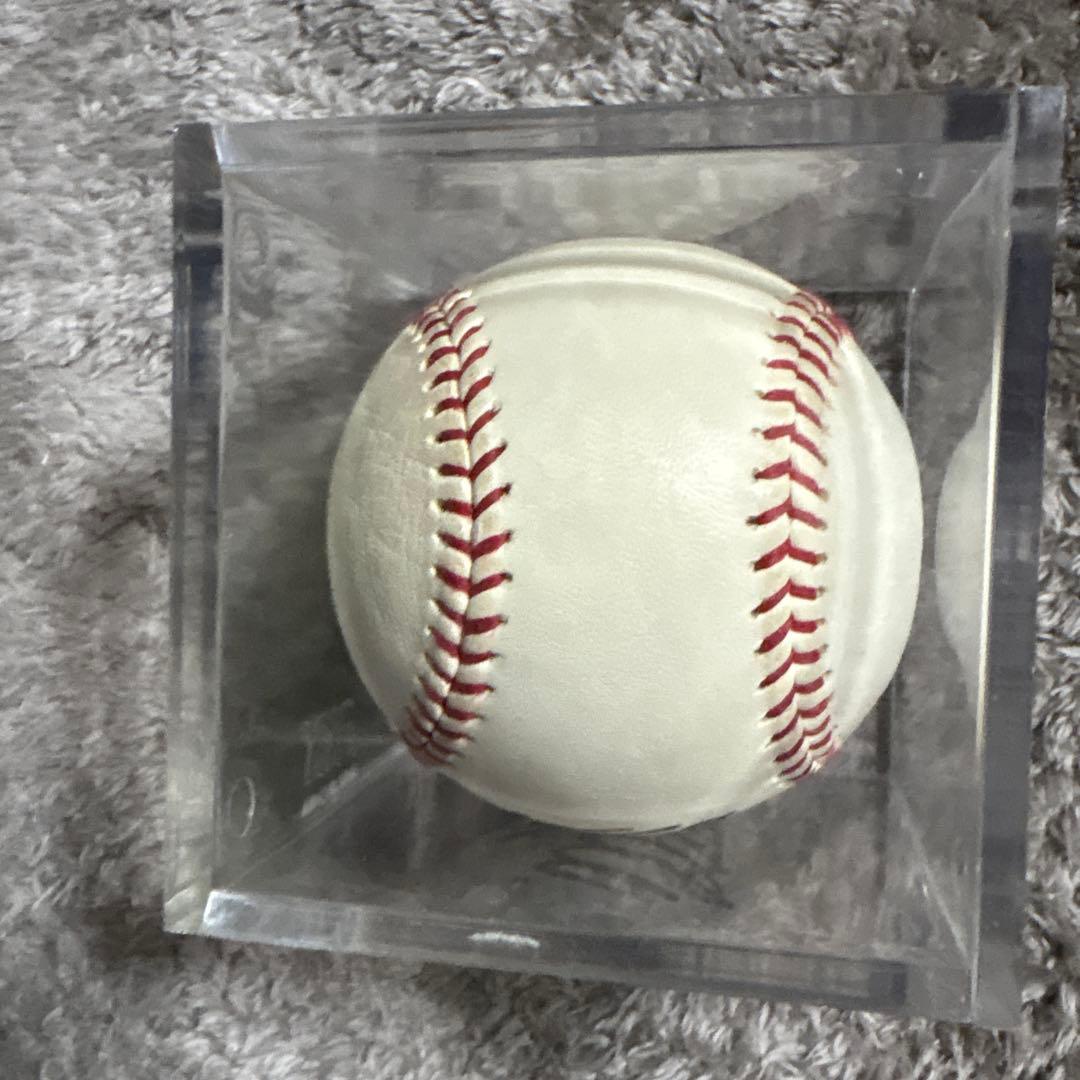 長*ー様 読売ジャイアンツ長嶋茂雄王貞治寄せ書き直筆サインボール　ボールケース付