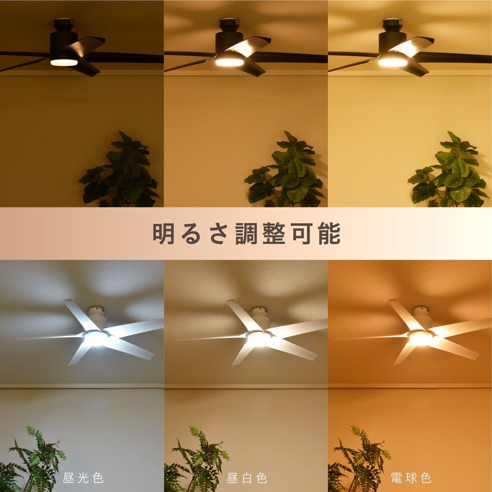 ホワイト　シーリングファンライト リモコン付き　Finia（フィニア）