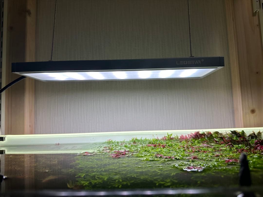 ［うんちゃん様］LED STAR AQ-Slim Pro 30 水槽ライ