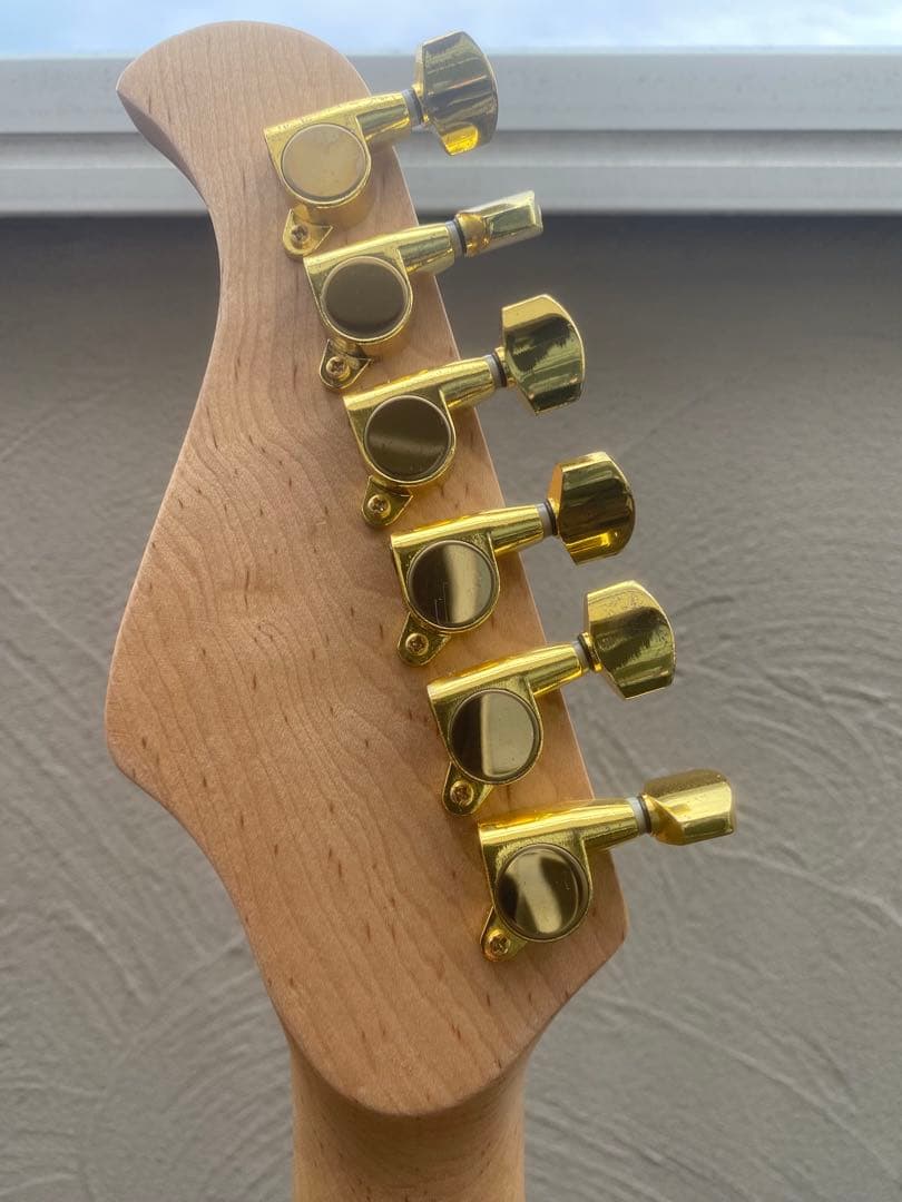 FUJIGEN Anboy AN-25(ストラトキャスター タイプ)