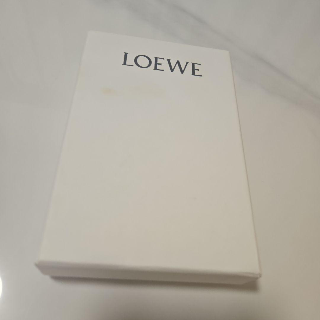 LOEWE ロエベ フラグメントケース