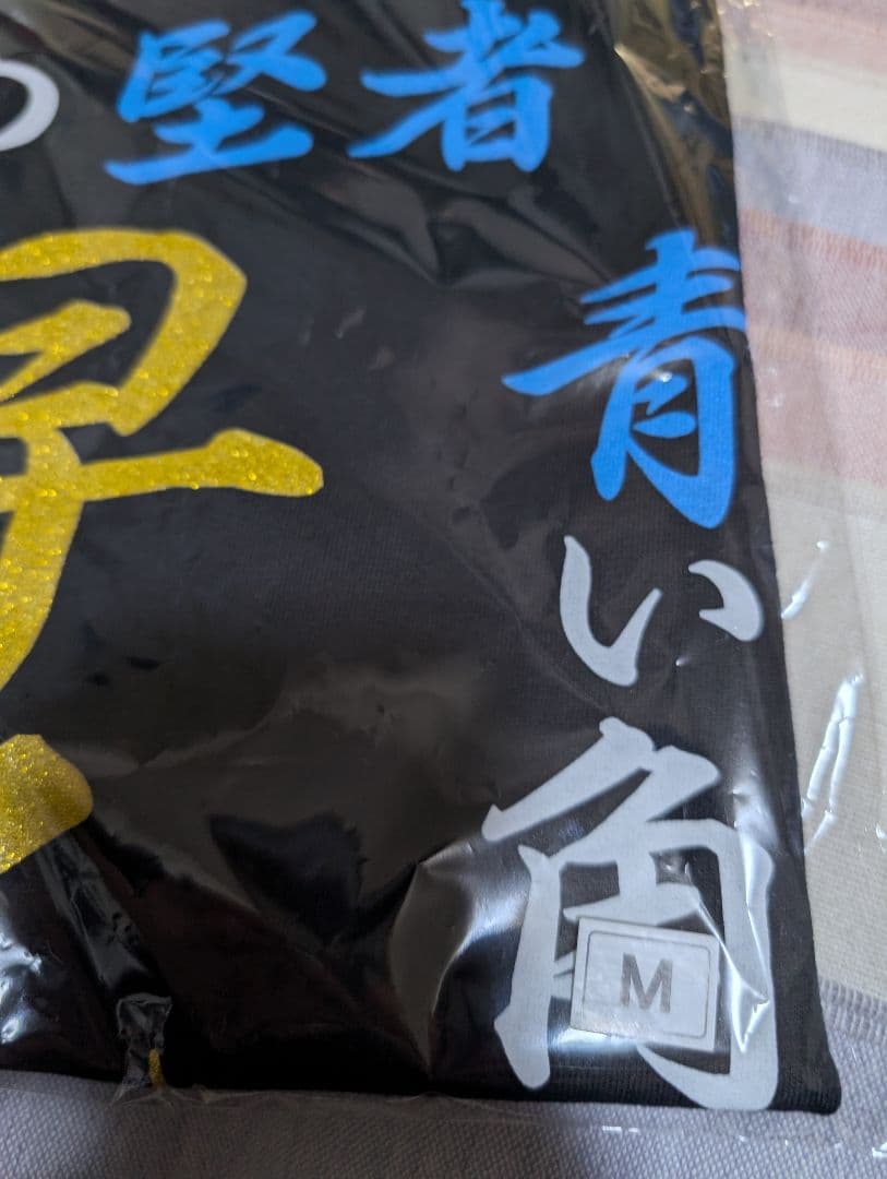 氣志團　焼津公演限定　早乙女光Tシャツ　Mサイズ ③