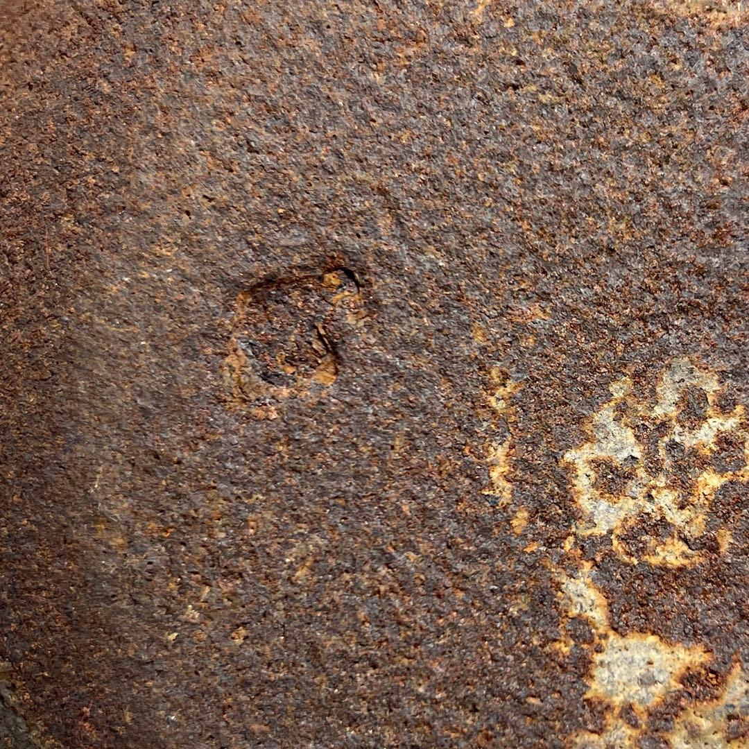 南部鉄瓶　岩鋳　桜尽　2608g 東N7-0902③