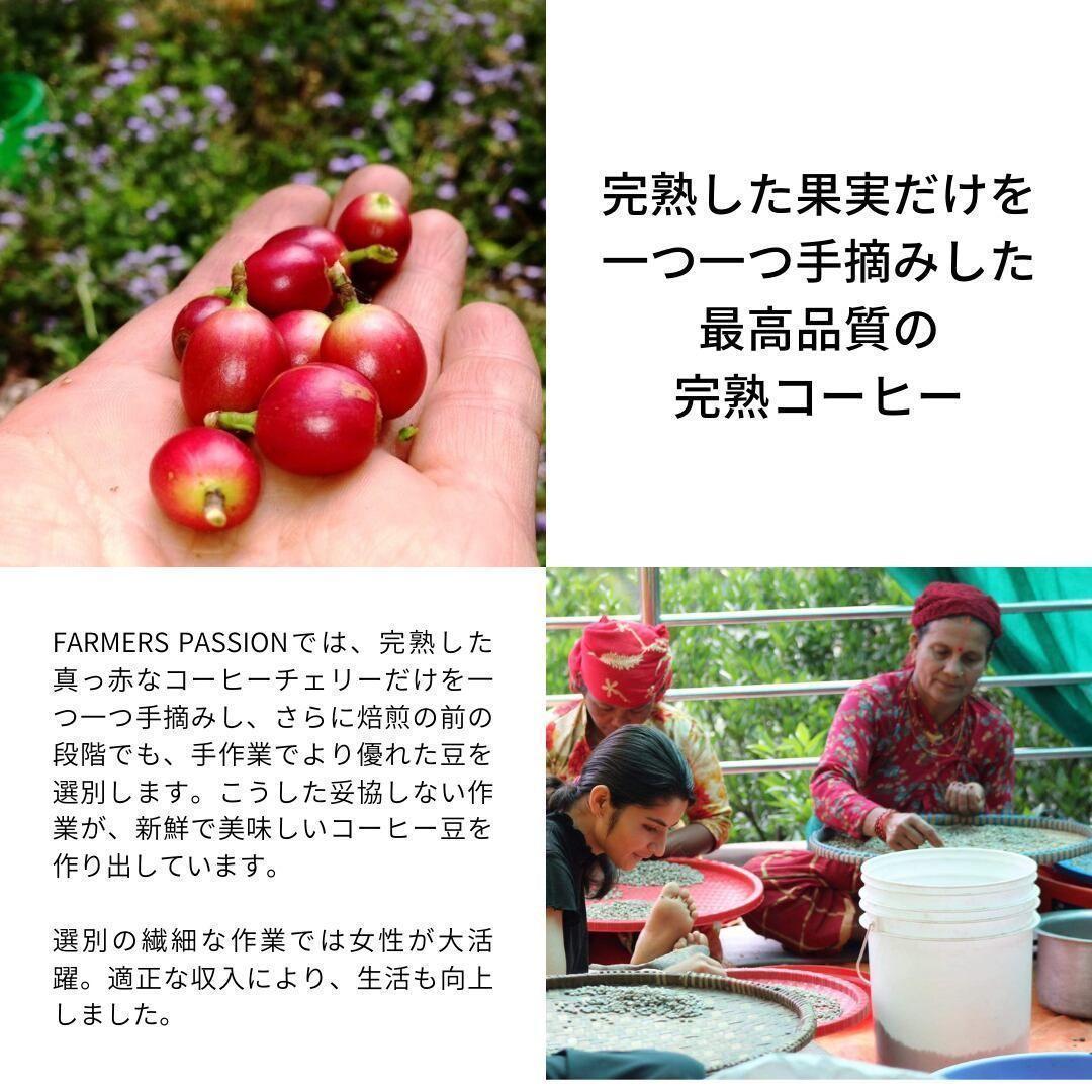 ★オーガニックコーヒー ライト フェアトレード 1kg 粉 コーヒー豆 ネパール