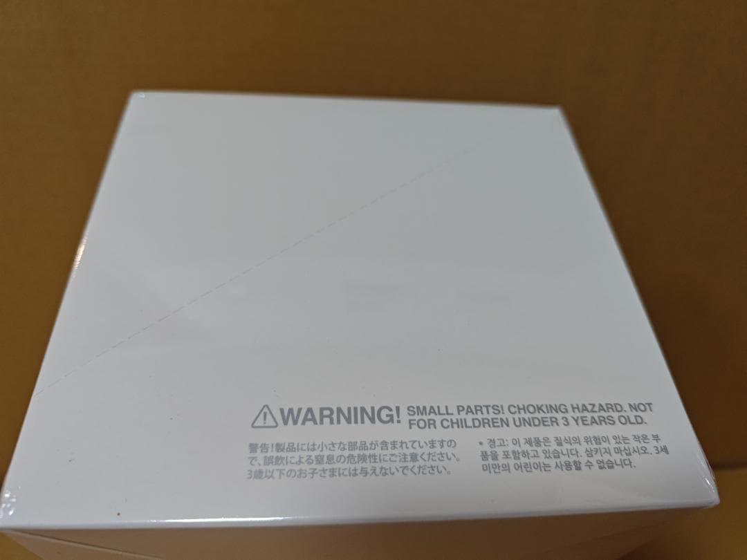 未開封・正規品　ラブブ Big into Energy アソートボックス 11個