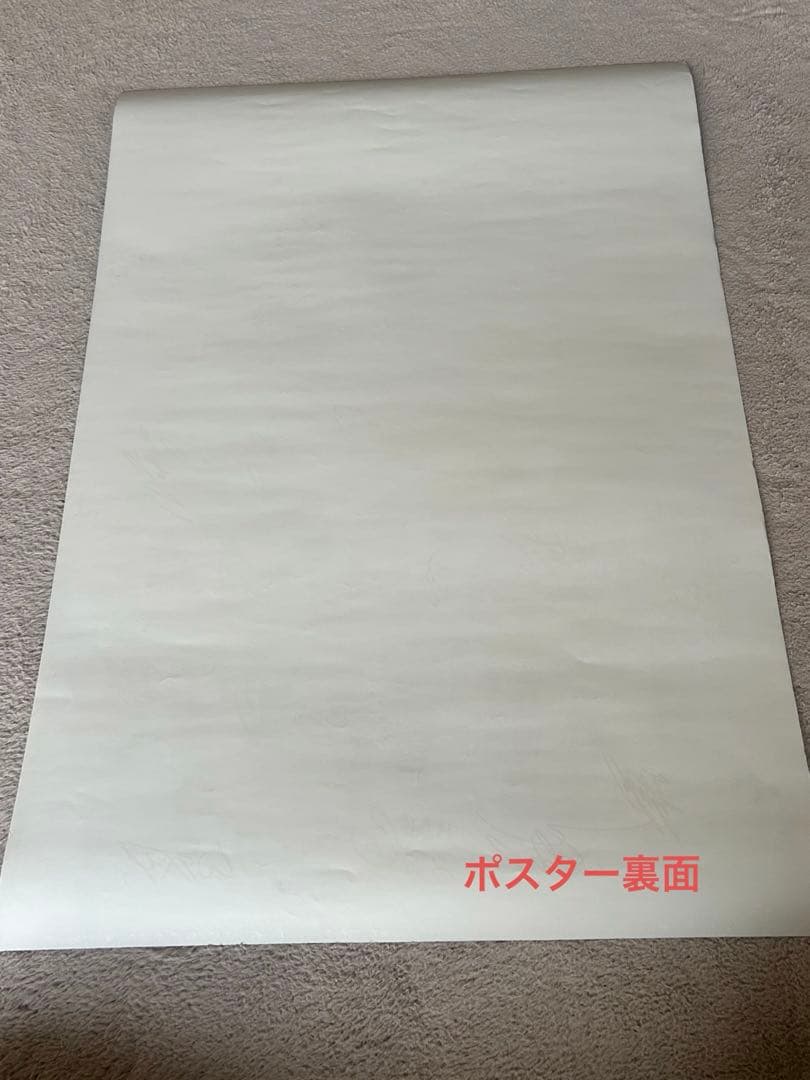 乃木坂46 直筆サイン入りポスター 何度目の青空か?当選通知コピー&おまけ付き