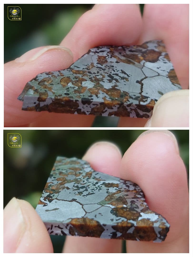 隕石 Hassi El Biod 002 パラサイト 12.23g⭐