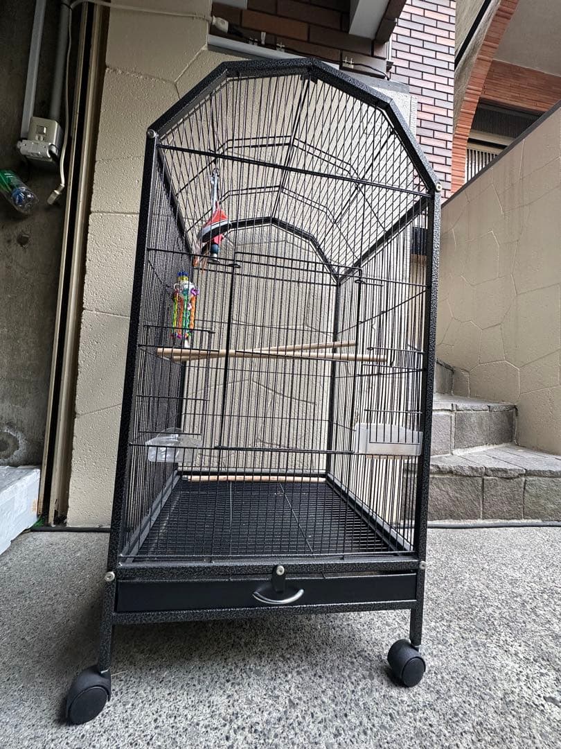 大型黒鳥かご キャスター付き