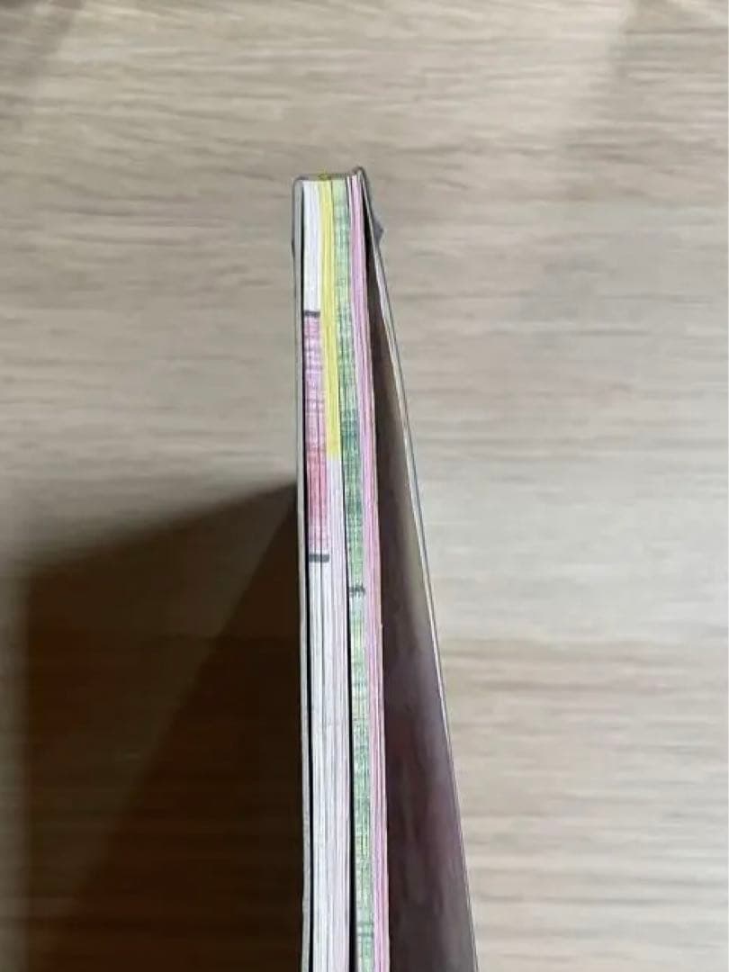 平成レトロ　メモ帳　パンダ　ギャル　レア