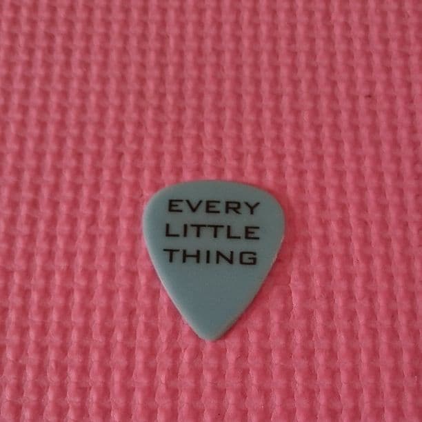 Every Little Thing 伊藤一郎さん ライブピック