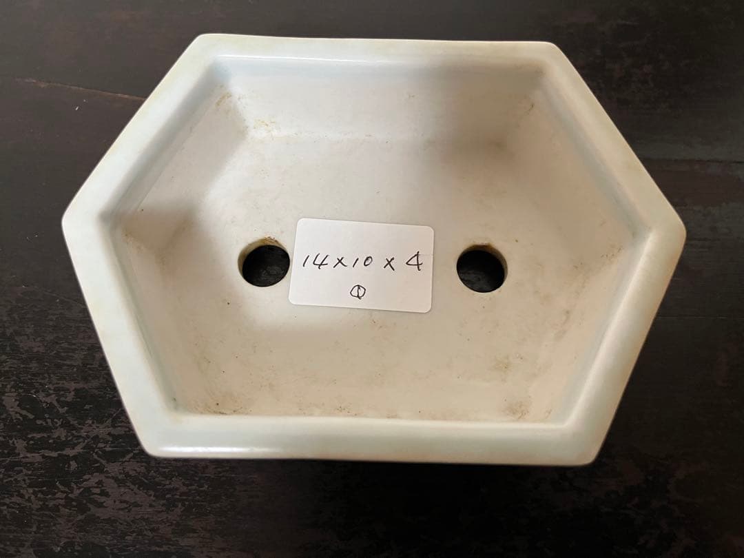 952 盆栽　盆栽鉢　植木鉢　和鉢