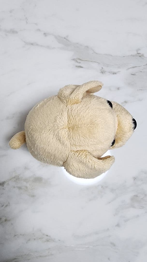 こえマネわんちゃん　動作品　寺子屋　バナナサンド