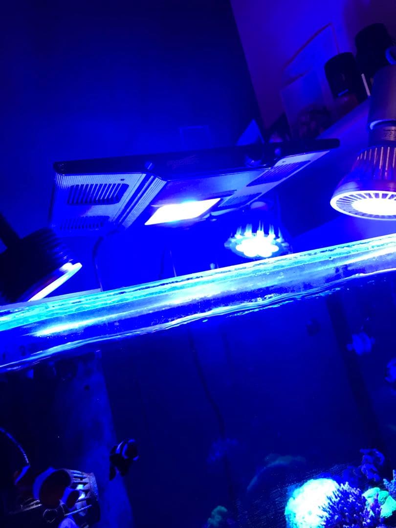 水槽用LED照明 maxspect R420R Nano