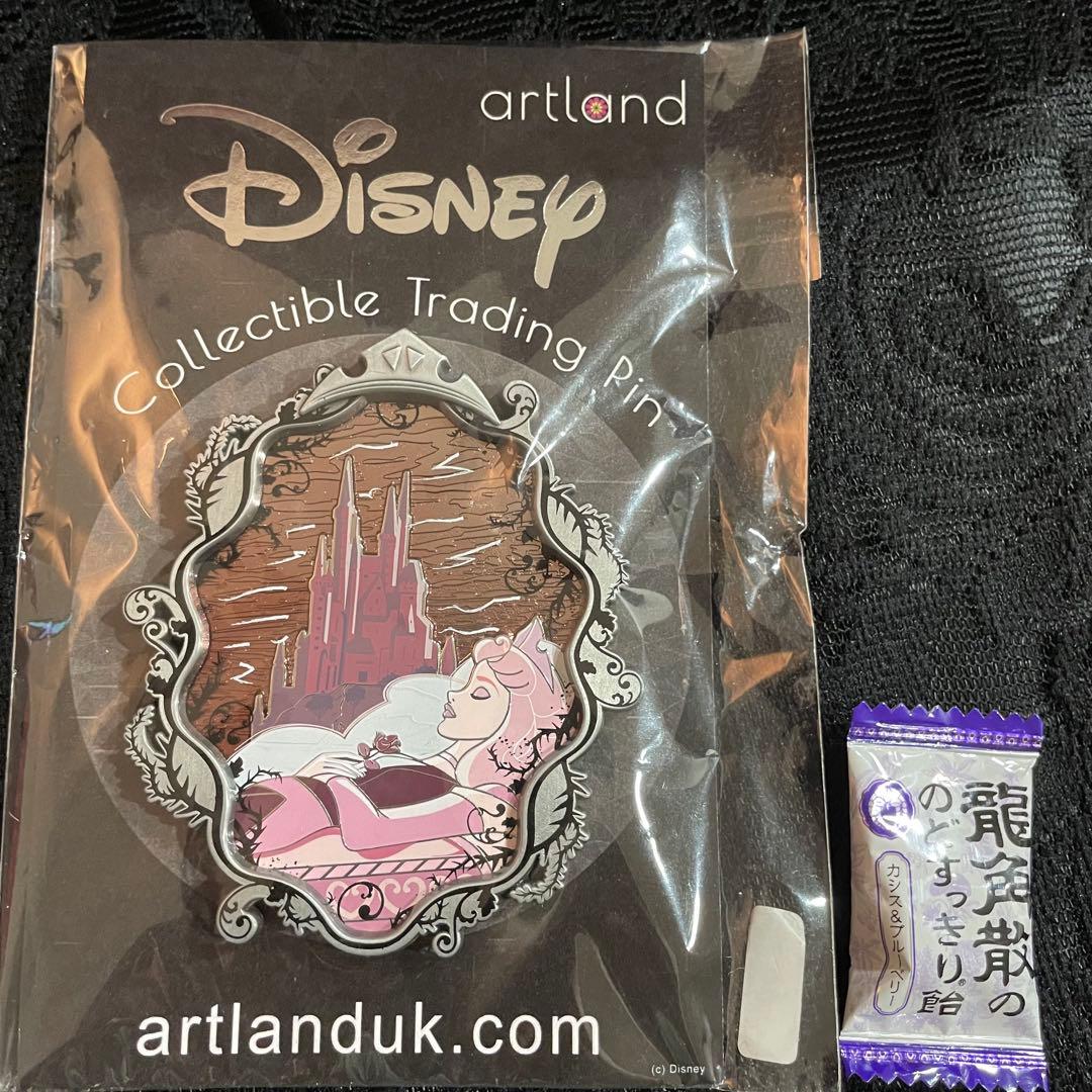 Disney artland オーロラ ピン