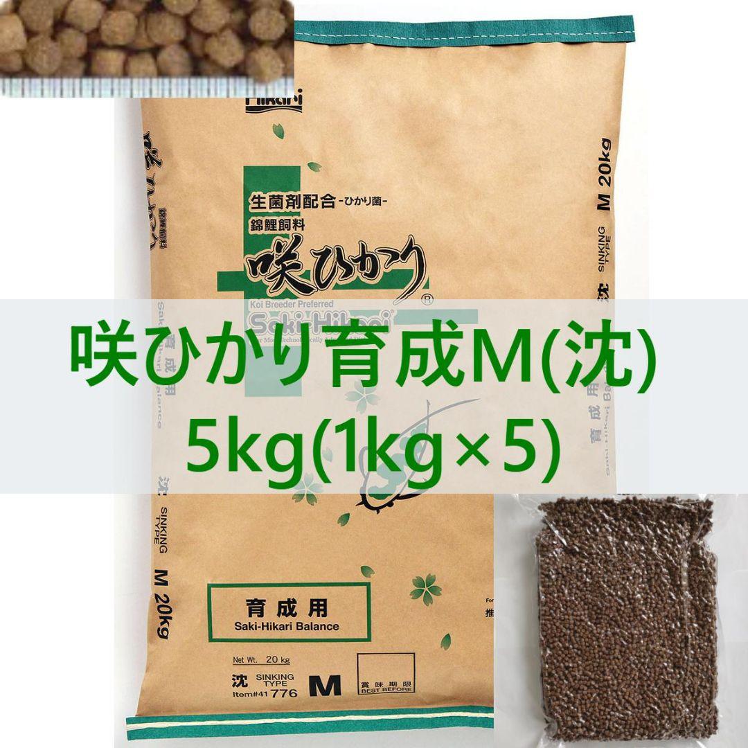 咲ひかり 育成 Mサイズ(沈下) 5kg (1kg×5P) 真空パック 錦鯉金魚