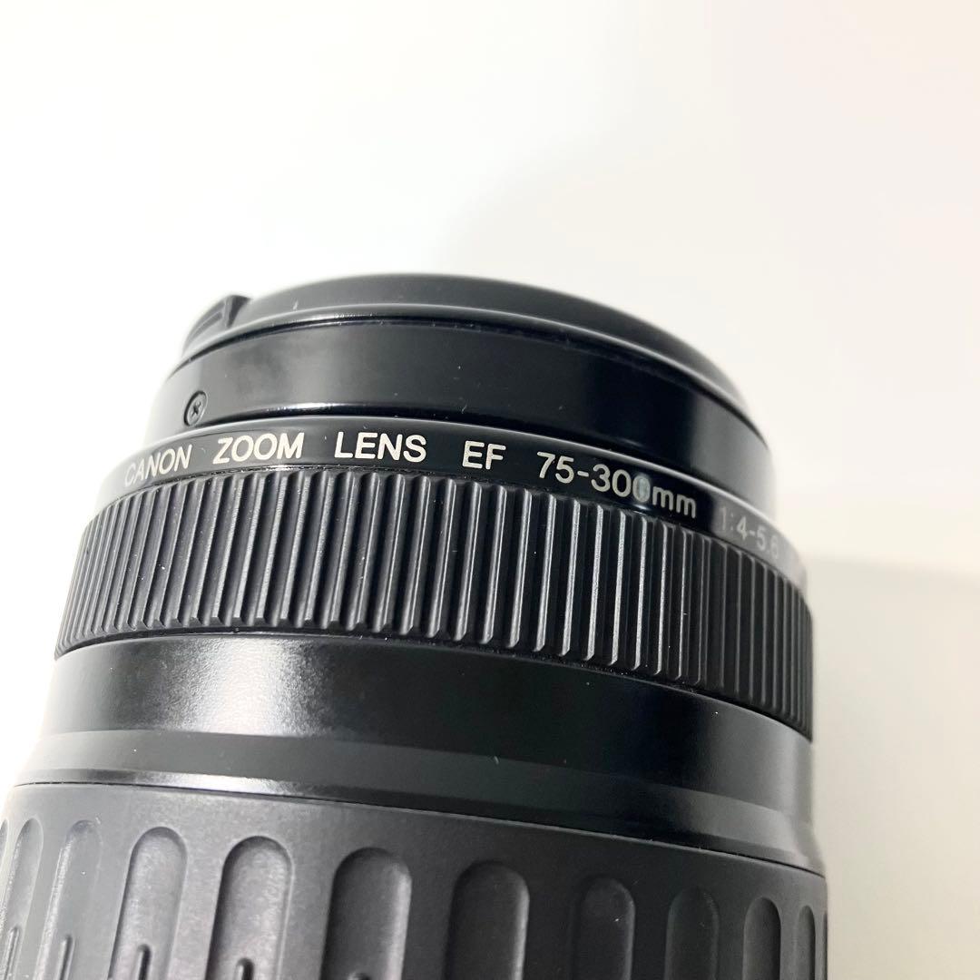 【美品】 Canon EF 75-300mm キャノン 望遠レンズ カメラ