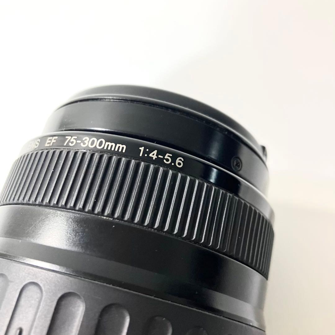 【美品】 Canon EF 75-300mm キャノン 望遠レンズ カメラ