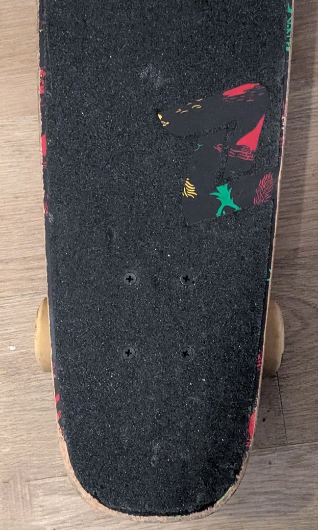 Z-flex ミニクルーザー スケートボード