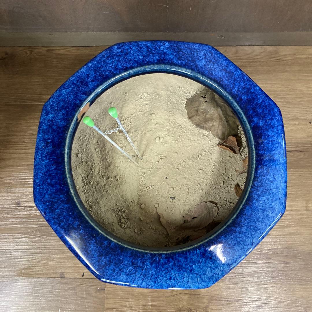棚下 【希少・美品】大型 火鉢 陶器製 瑠璃釉 浮き彫り文様 メダカ鉢 海鼠釉