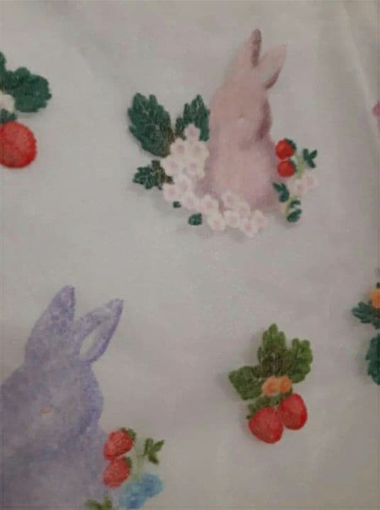 【フランシュリッペ】3L/FL5/ペイントスカート