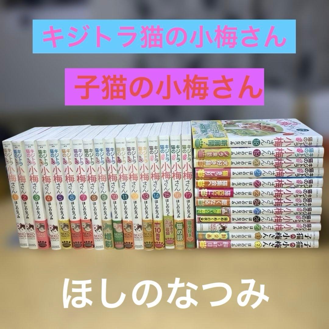 キジトラ猫の小梅さん＋子猫の小梅さん　　ほしのなつみ／少年画報社