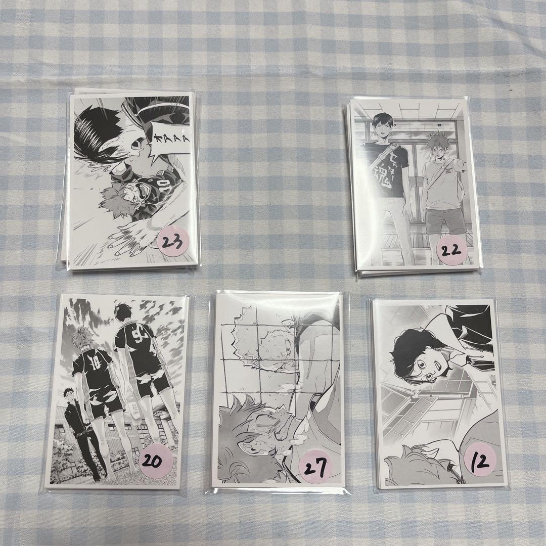 ハイキュー　フォトカ　フォトカード　クロニクル　日向翔陽