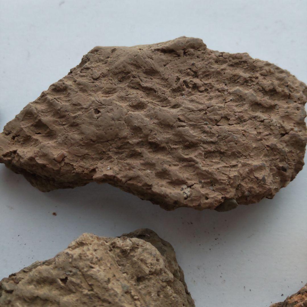 ★本物の縄文土器★(新潟県出土)⑳、7点